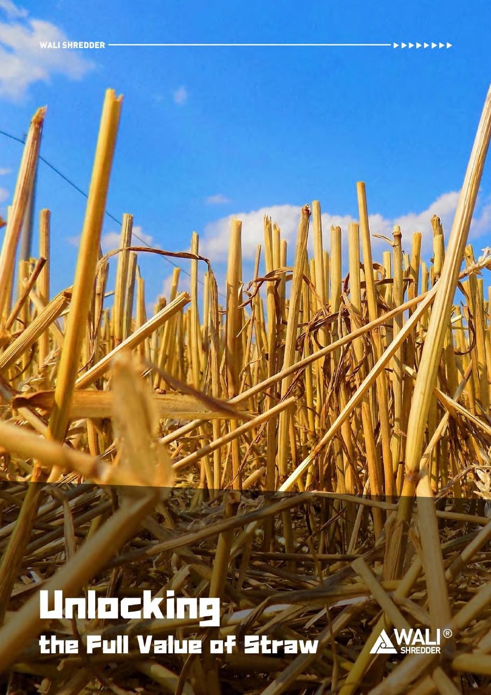 Straw & Biomass Recycling Solutions cover
